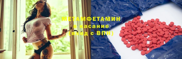 прущие грибы Осташков