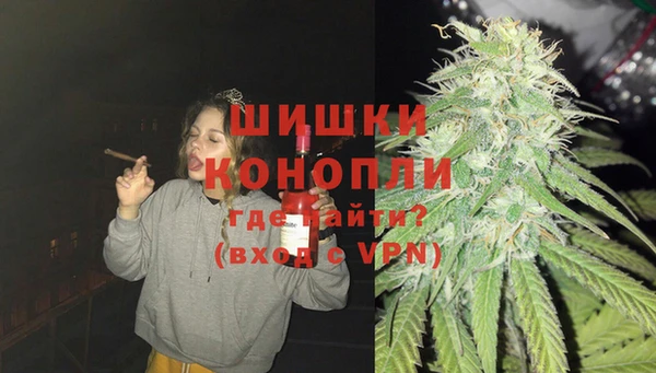 PSILOCYBIN Переславль-Залесский